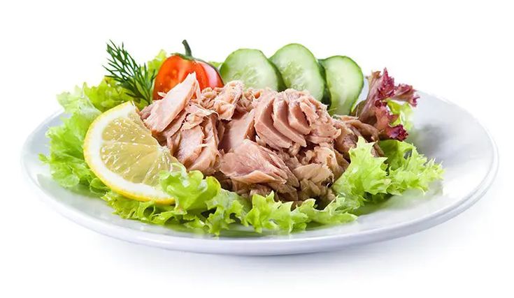 Long Shelf Life Canned Tuna in Bulk for NGOs; Trusted Supply for Urgent Missions